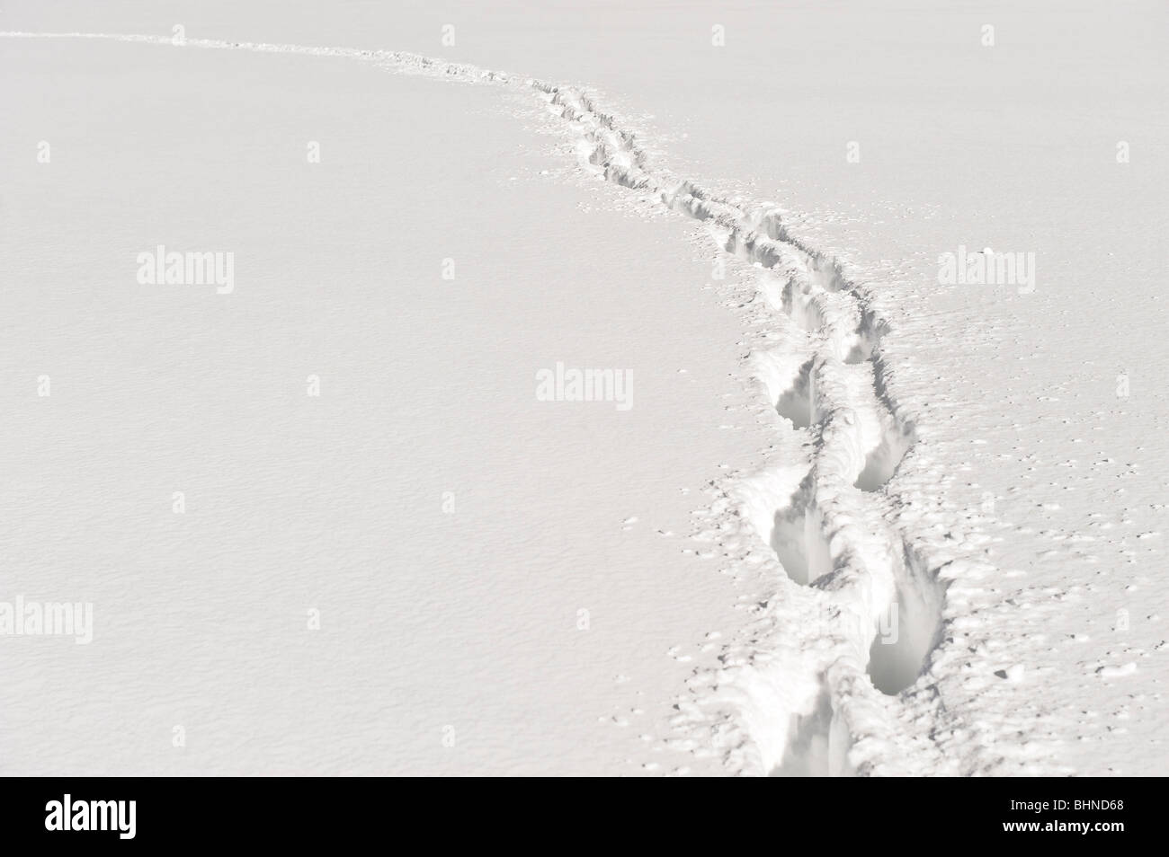 Fußweg durch den Tiefschnee. Stockfoto