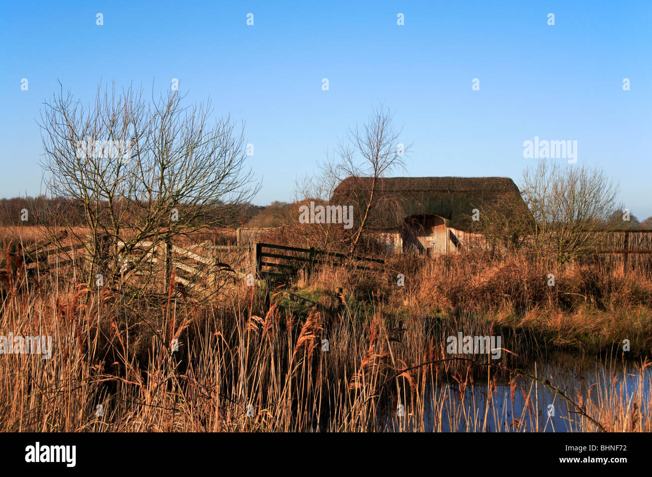 Ein Vogelbeobachtung verstecken auf Hickling breite nationale Natur-Reserve, Hickling, Norfolk, Großbritannien. Stockfoto