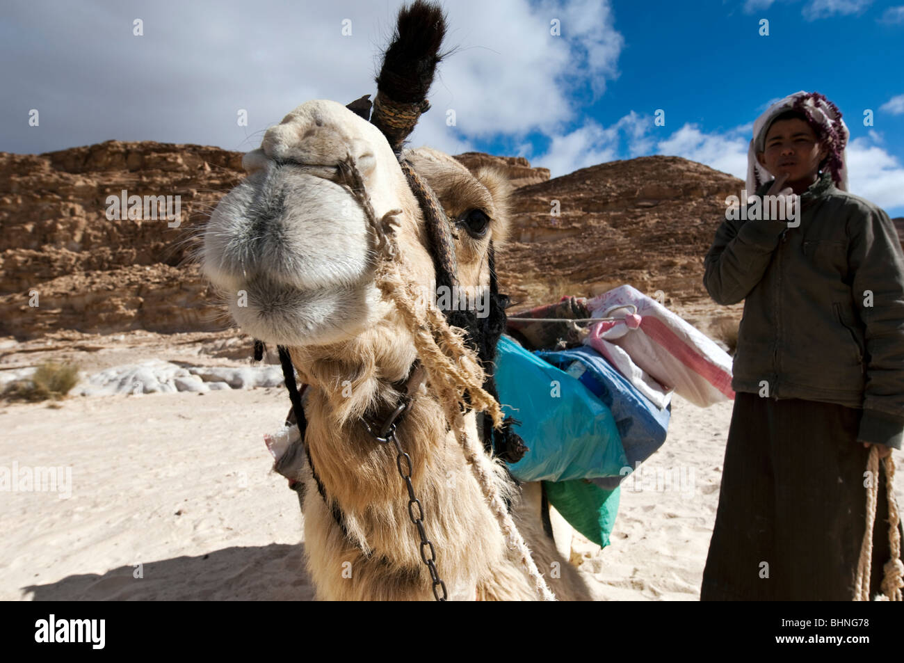 Nomadische Beduinen junge stellt für Kamera mit seinem Kamel an seiner Seite Stockfoto