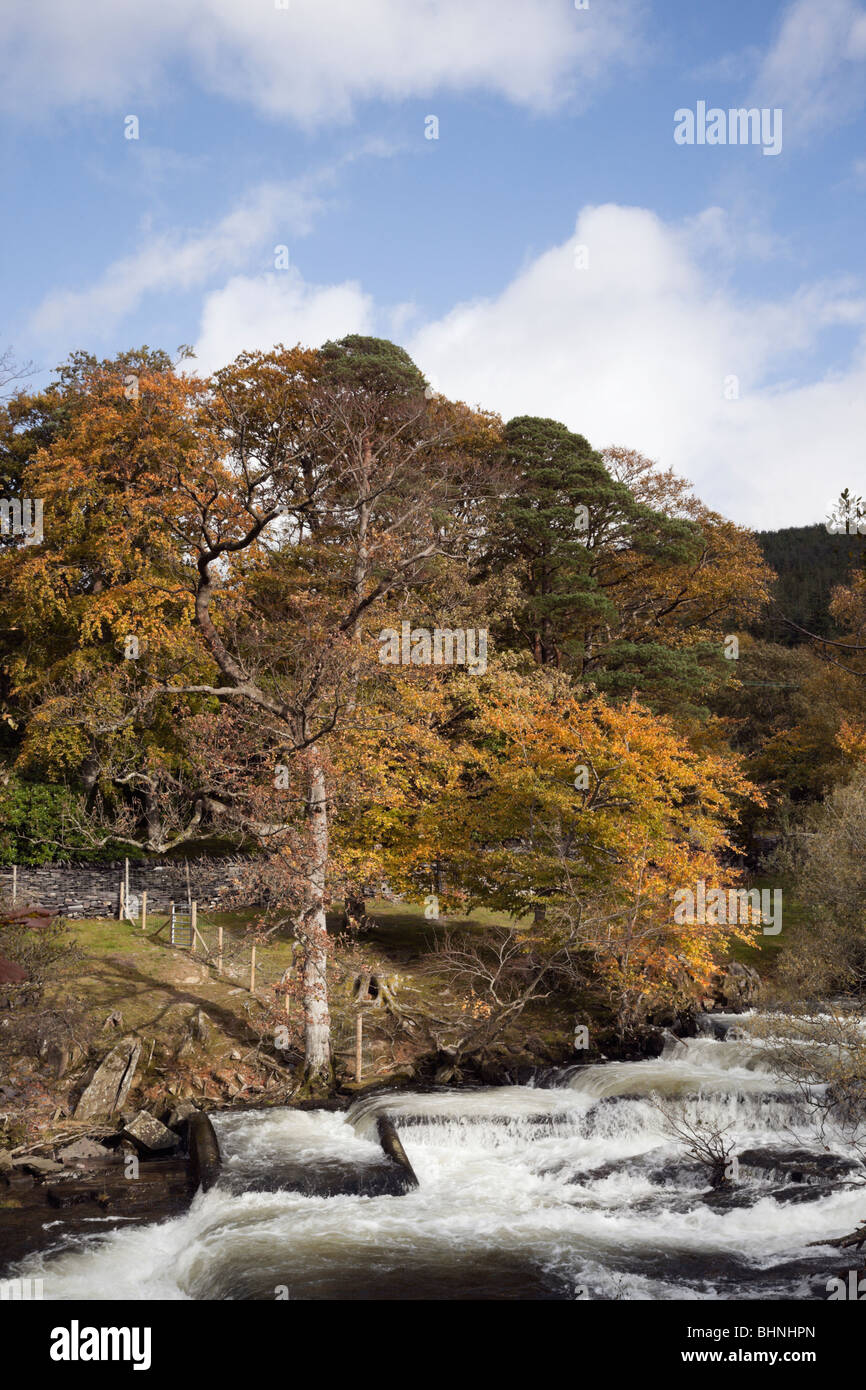 Wasserfall auf schnell fließenden Afon Ogwen Fluss im Snowdonia National Park im Herbst in der Nähe von Bethesda, Gwynedd, Nordwales, UK, Großbritannien Stockfoto