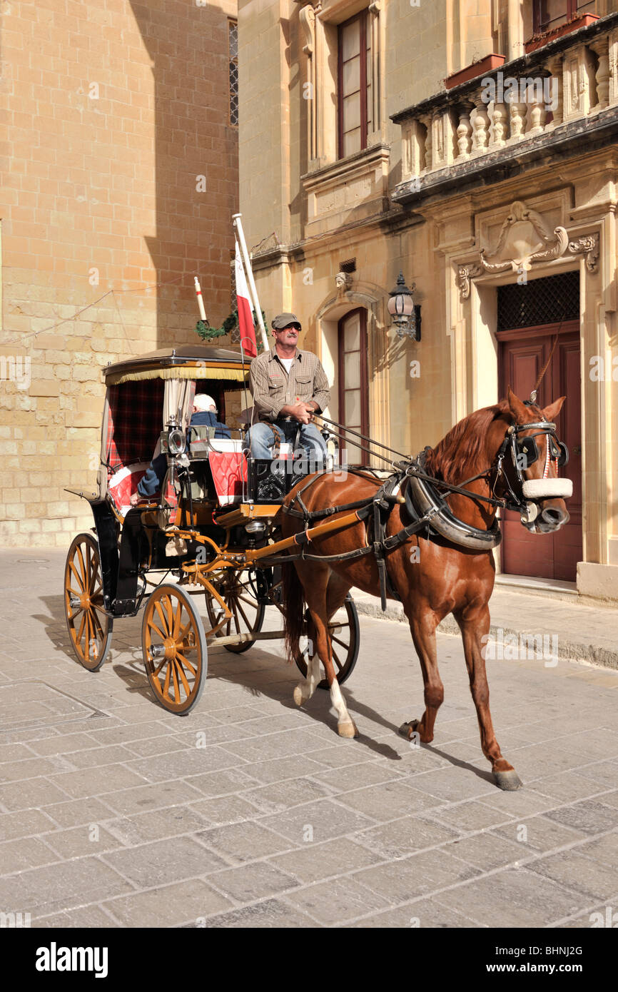 Traditionellen Pferdekutsche, Mdina Stockfoto