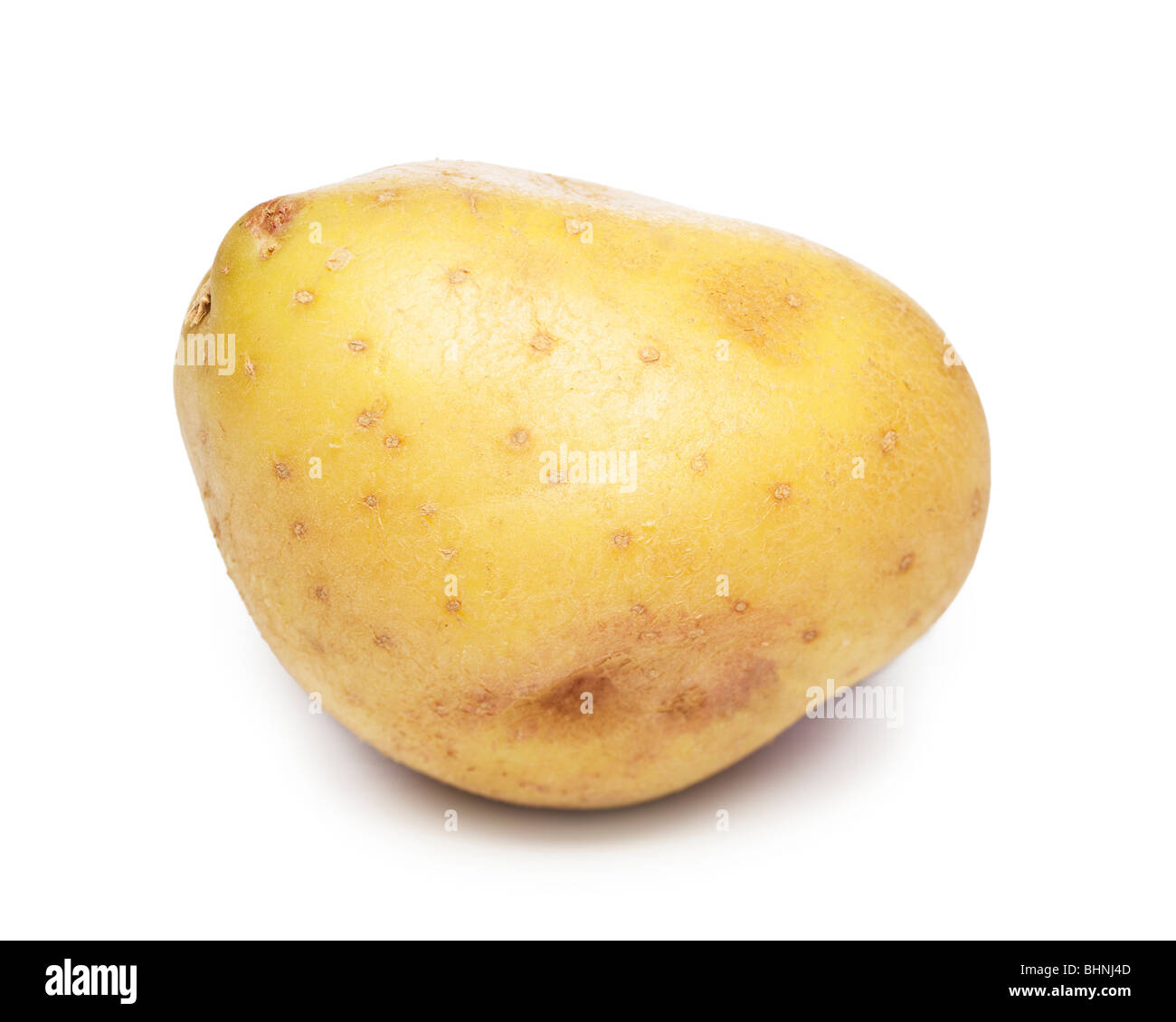Kartoffel Stockfoto