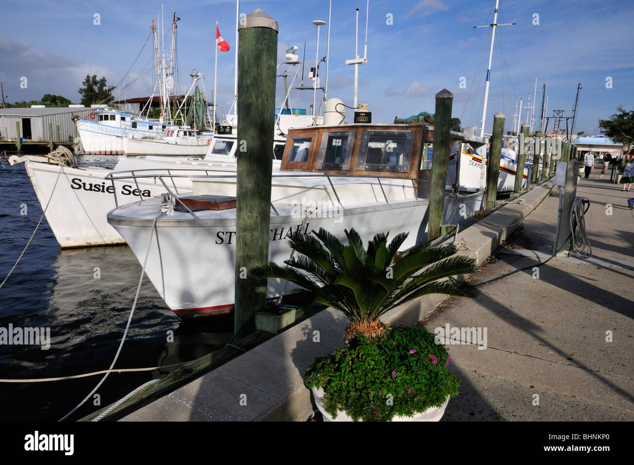 Schwamm-Boote vertäut am Hafen Tarpon Springs, Florida, Stockfoto