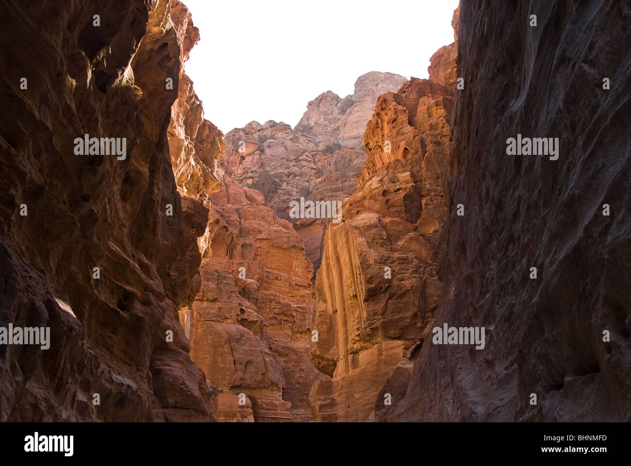 Die Schluchten von Petra, Jordanien, Asien. Stockfoto