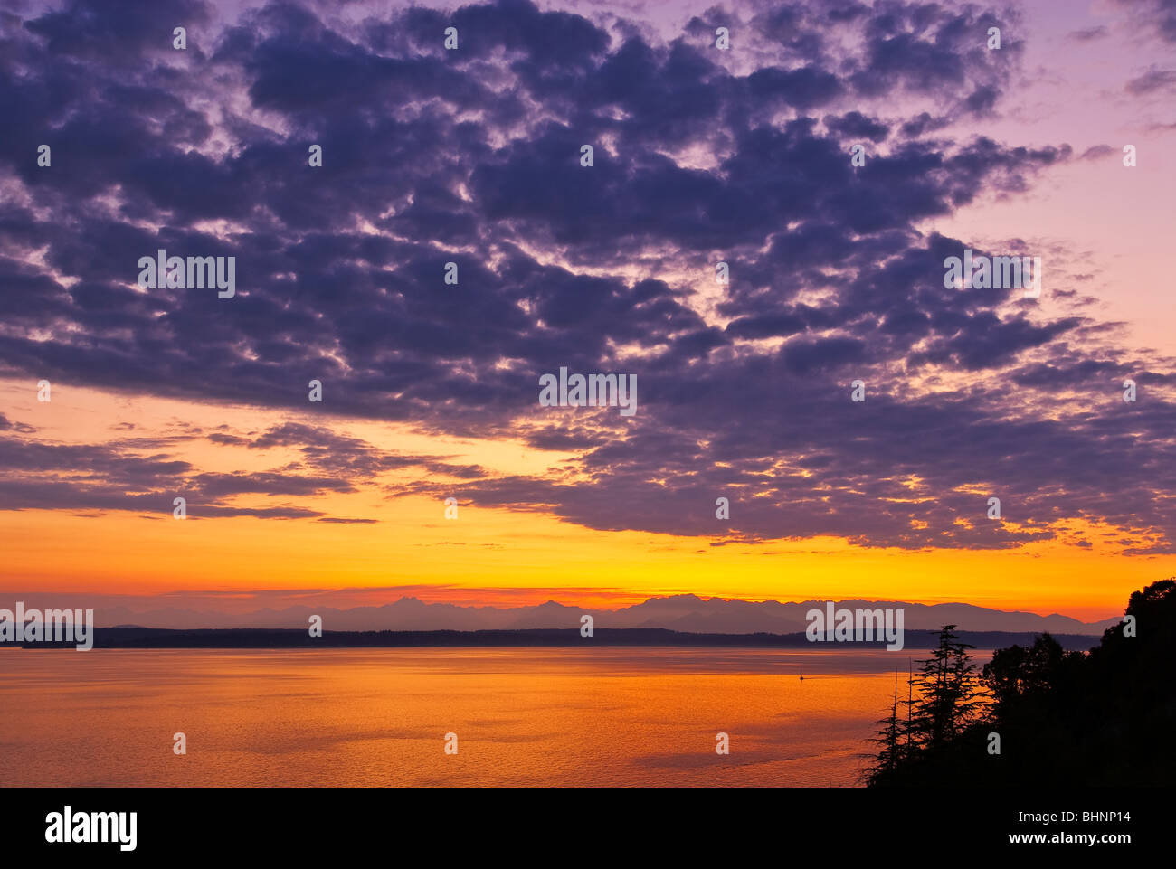 Olympic Mountains und Puget Sound bei Sonnenuntergang von Magnolia Bluff Seattle Washington State USA Stockfoto