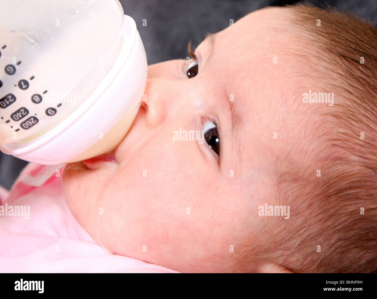 Süßes Gesicht des kaukasischen Hispanic Baby, Kleinkind Milch aus der Flasche zu trinken. Stockfoto