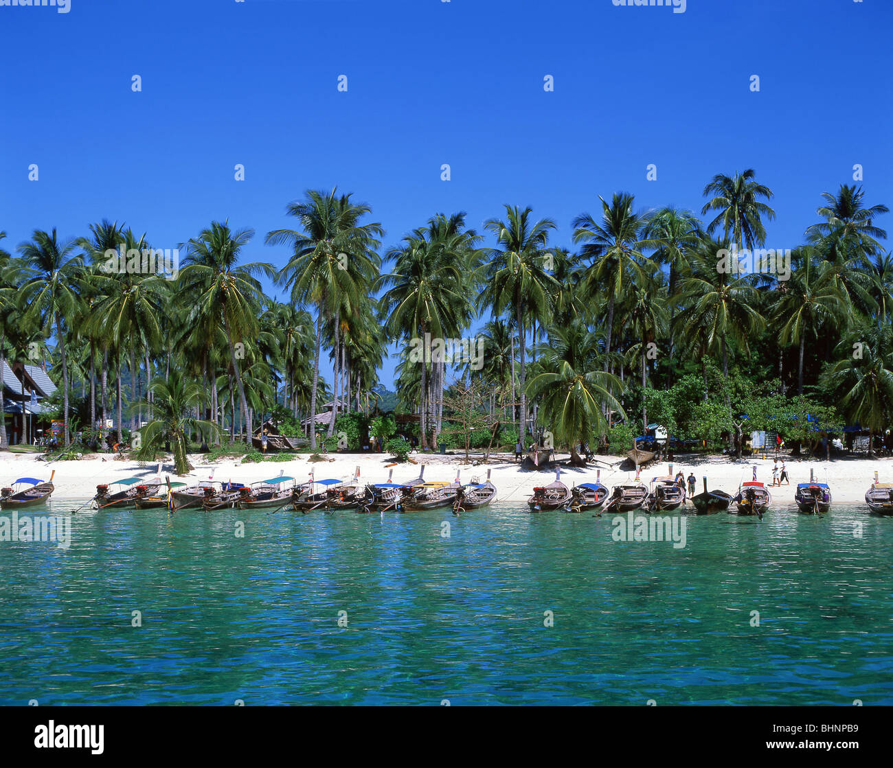 Long-Tail-Boote, Kho Phi Phi Don, Phi Phi Inseln, Ton Sai Beach, Provinz Krabi, Thailand Stockfoto