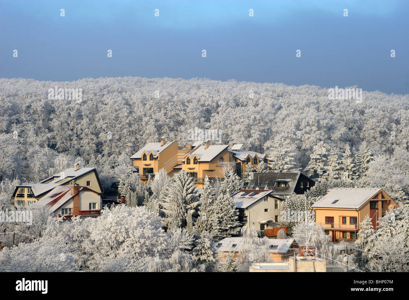 Häuser im Winter durch den Wald Stockfoto
