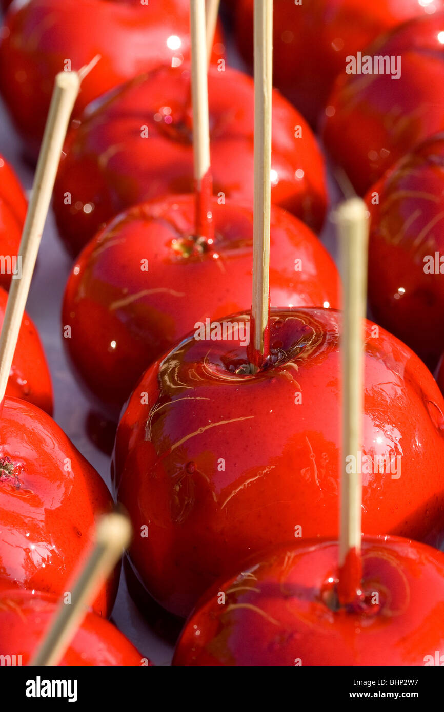 Glasierte Äpfel auf sticks Stockfoto