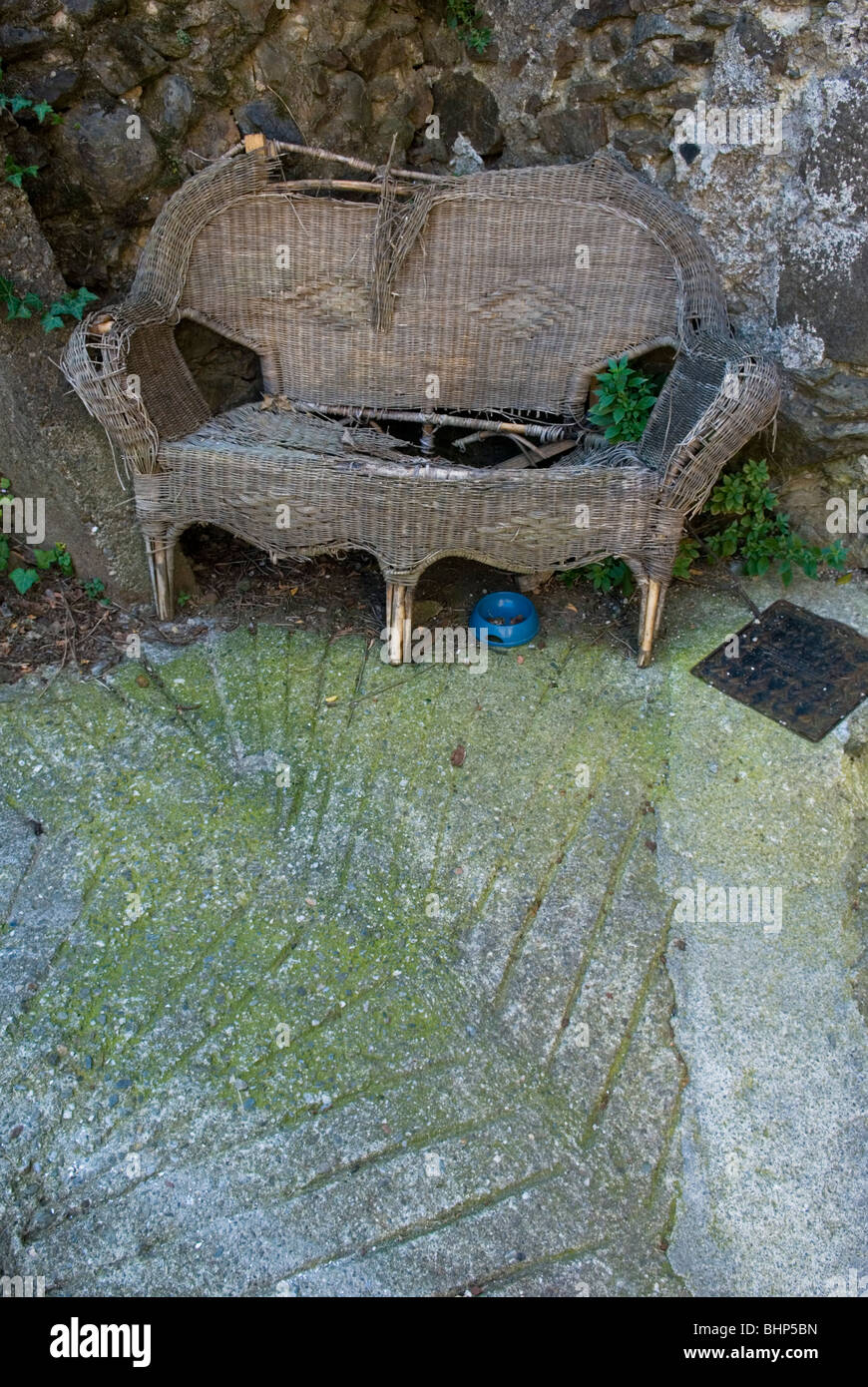 eine alte gebrochene Wicker-Bank mit Schale für Haustier unter befindet sich im vergessenen Garten im Languedoc, Frankreich Stockfoto
