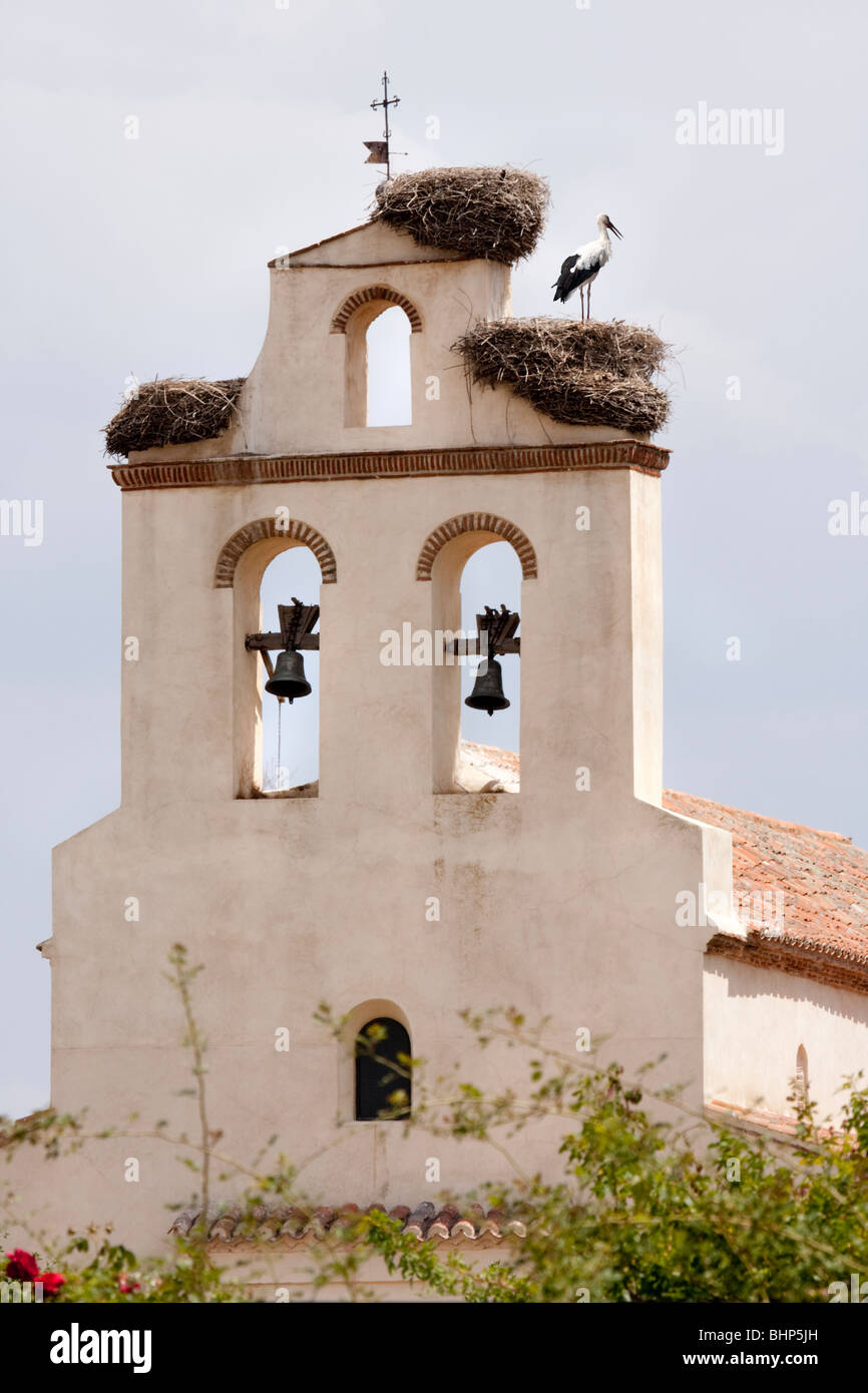 Storch in Nestern am Glockenturm der Kirche in Avila "Kastilien und León" Spanien Stockfoto