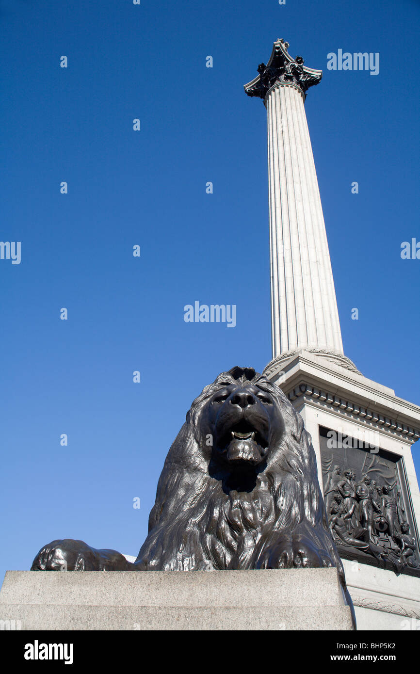 London - Admiral Nelson Column und Löwe - Trafalgar square Stockfoto