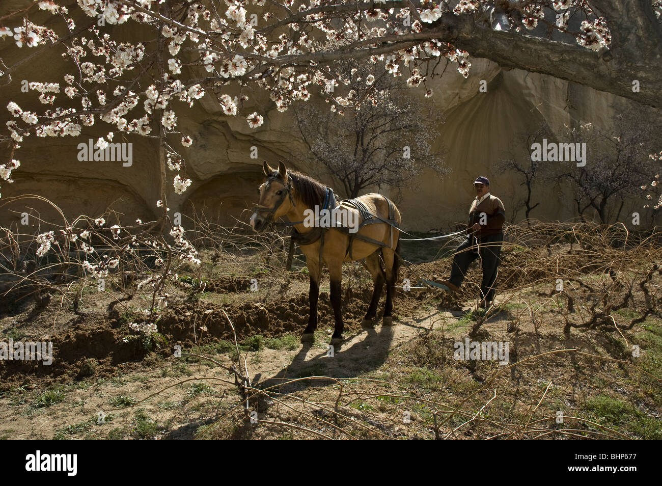 Cappadocia an Frühling, Felsformationen vulkanischen Tuffstein, Uchisar Stockfoto