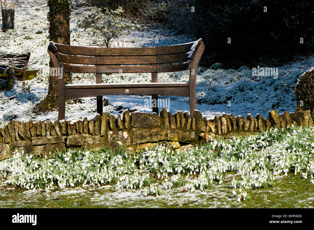 Schneeglöckchen, Galanthus und einer Bank am Painswick Rokoko-Garten in Cotswolds im Schnee Stockfoto