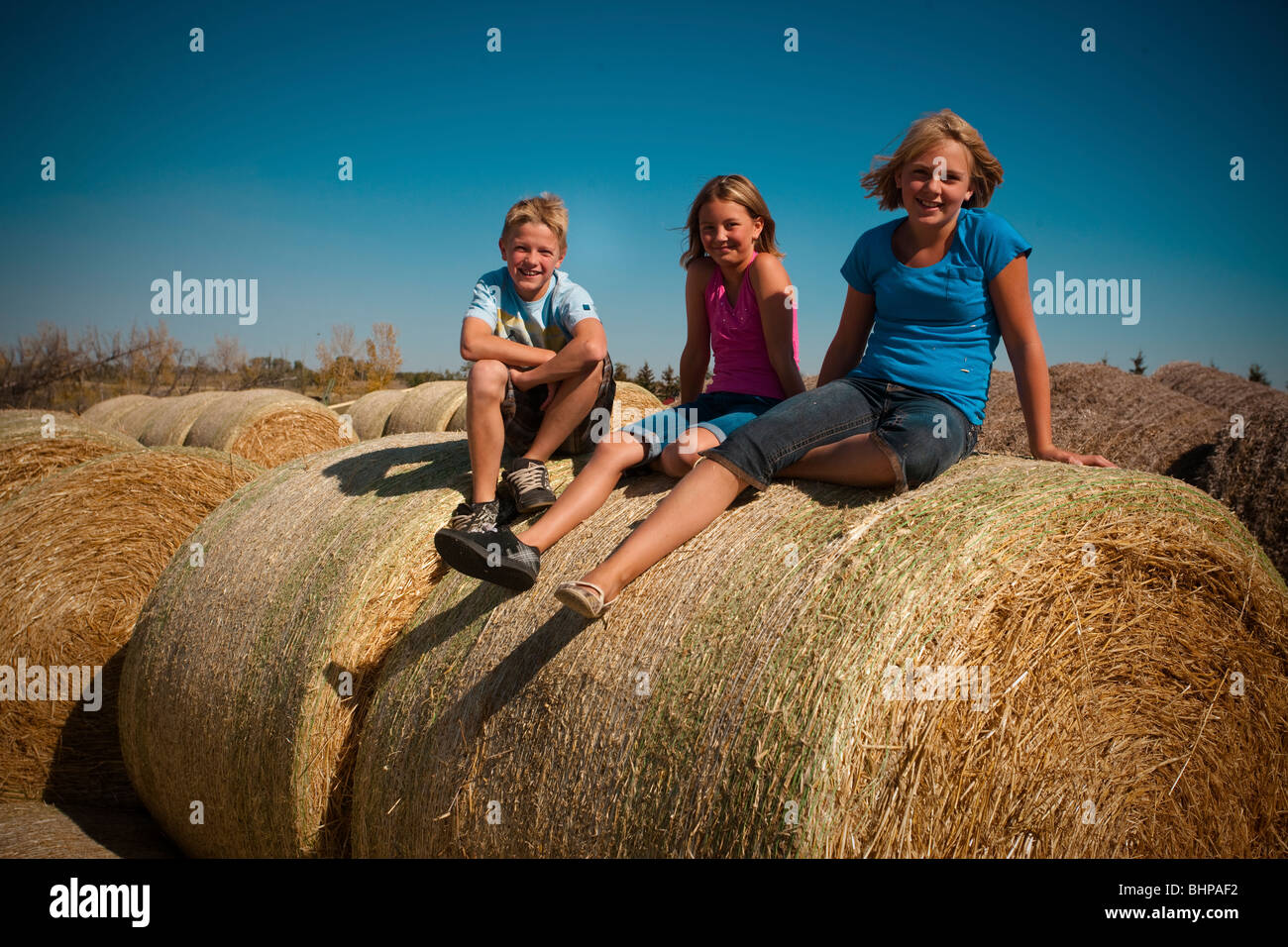 Junge (12) Mädchen (10) und Mädchen (12) sitzt auf Strohballen; Redvers, Saskatchewan, Kanada Stockfoto