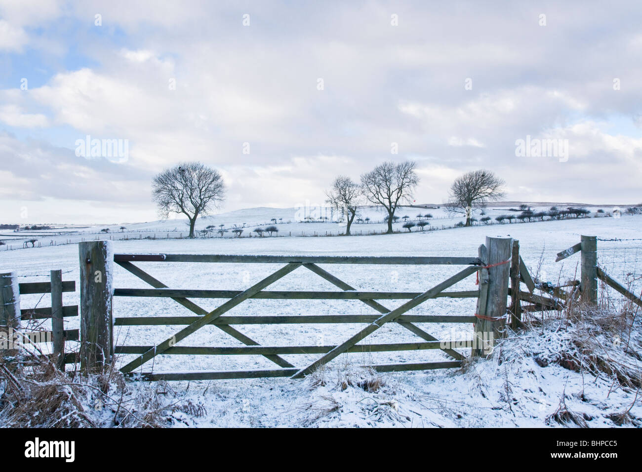 Tor und Ackerland über Bellerby, North Yorkshire Stockfoto