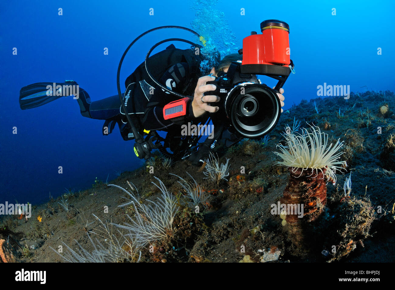 Scuba Diver nimmt Bilder unter Wasser, Unterwasser-Fotograf, Bali, Indonesien, Indo-Pazifik Stockfoto