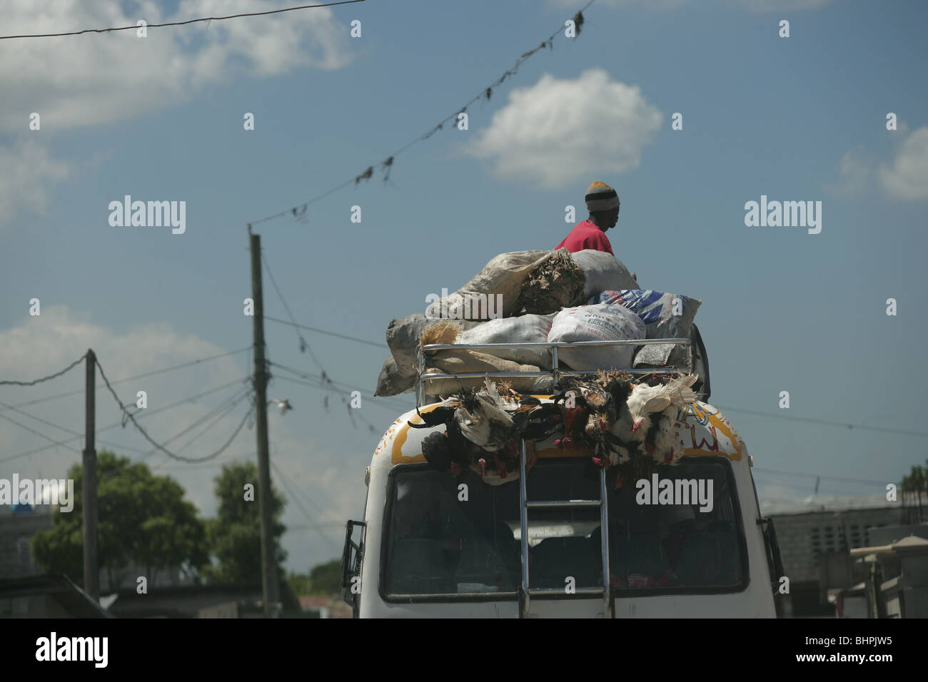 Lebende Hühner auf einem haitianischen bus Stockfoto