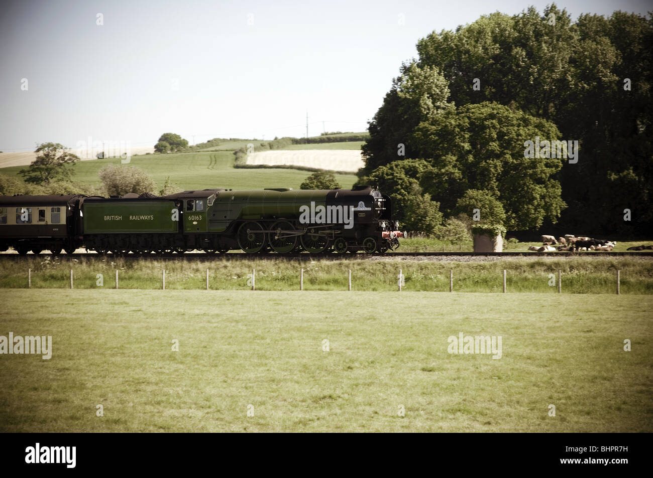 LNER Peppercorn Klasse A1 60163 Tornado Stockfoto