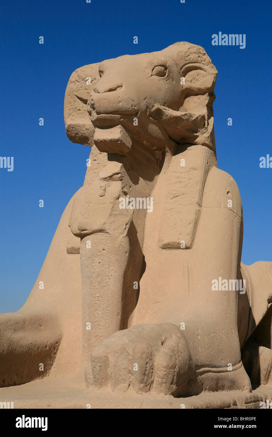 Widderköpfige Sphinx am Haupteingang der Karnak-Tempel in Luxor, Ägypten Stockfoto