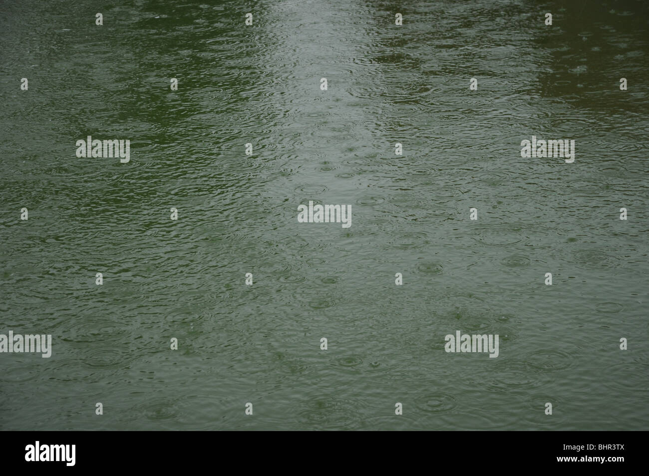 Monsun-Regen auf einem grünen Teich in Indien Stockfoto