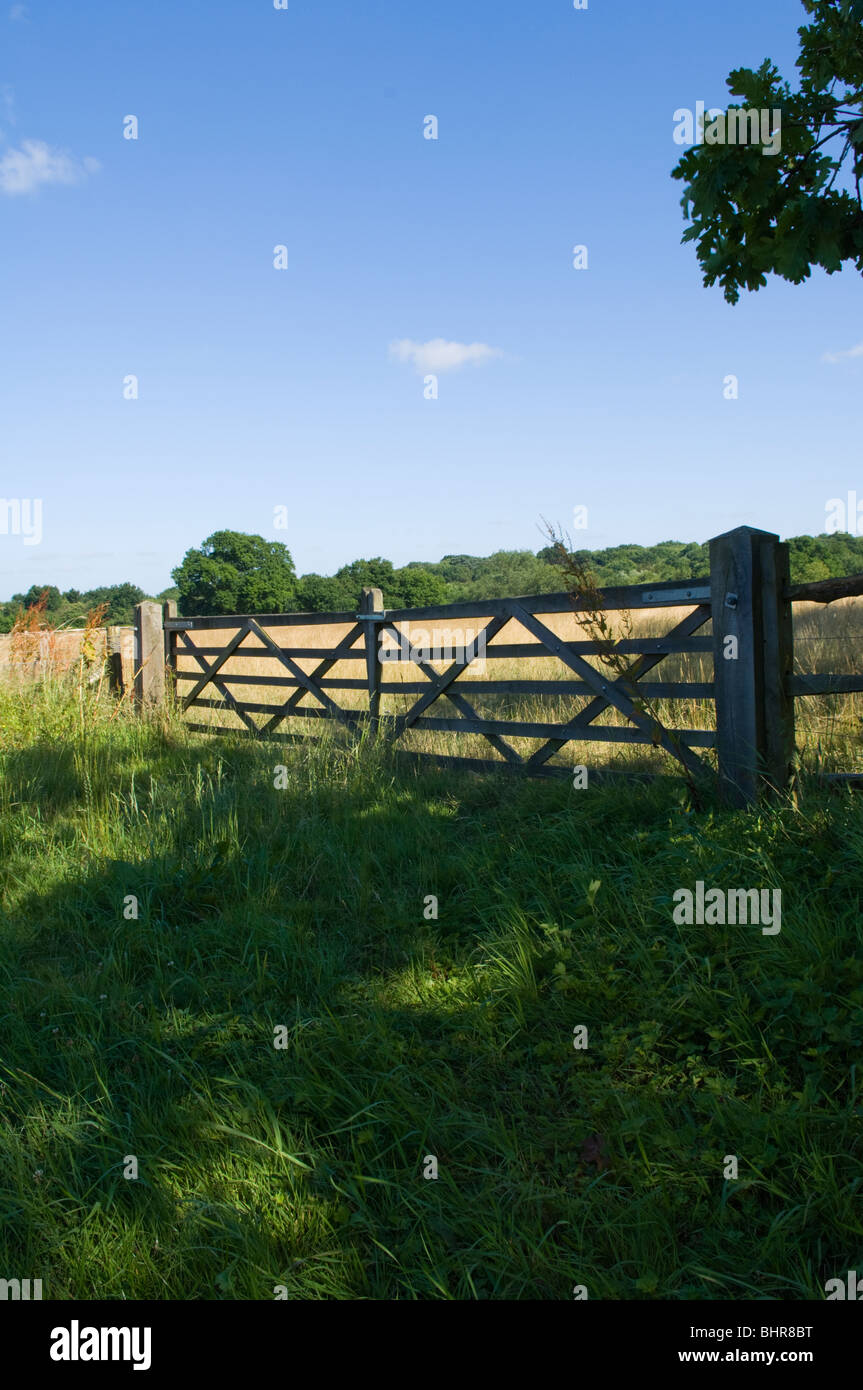 Paar von fünf bar Tore markiert den Eingang zu einem Feld in der englischen Garten Stockfoto