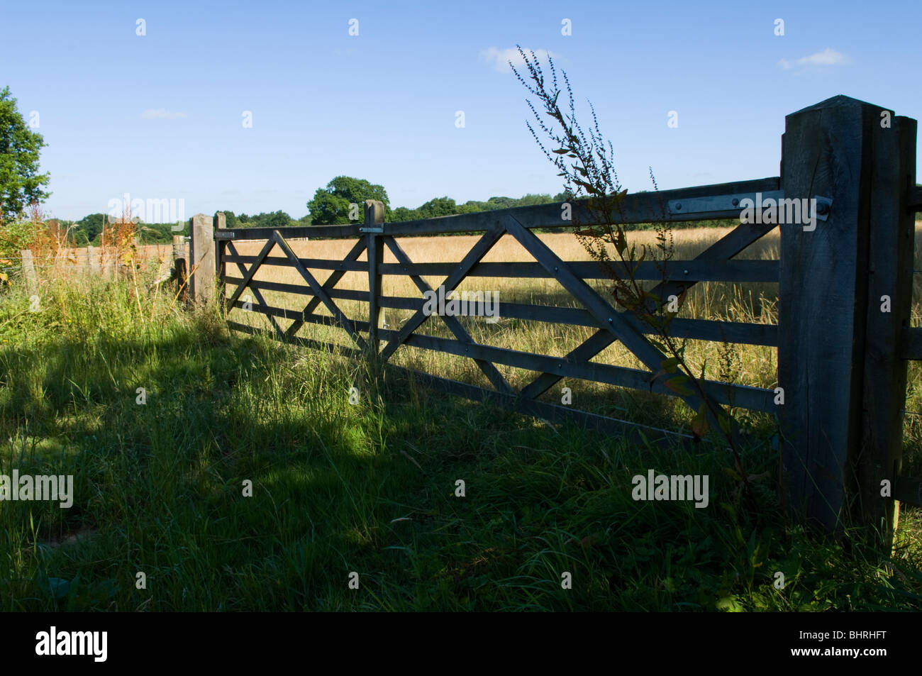 Paar von fünf bar Tore markiert den Eingang zu einem Feld in der englischen Garten Stockfoto