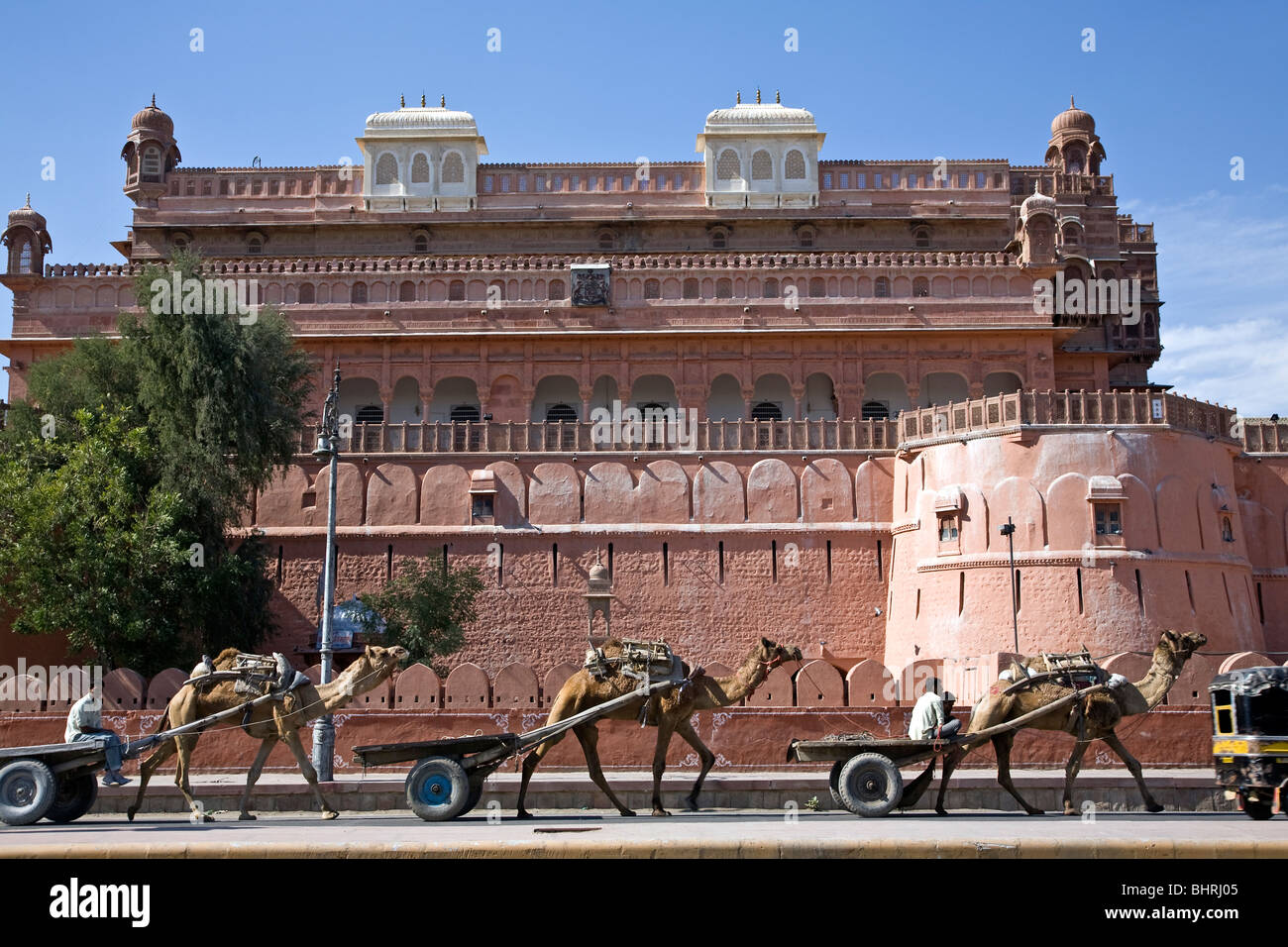 Kamel-Wagen und Junagarh Fort. Bikaner. Rajasthan. Indien Stockfoto