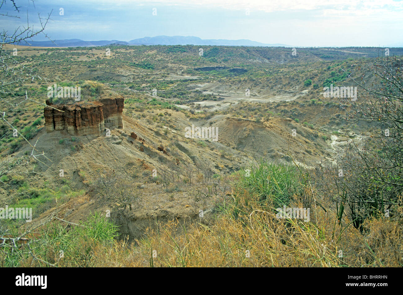 Panoramablick über die Ausgrabung Website Olduvai-Schlucht, Tansania, Afrika Stockfoto