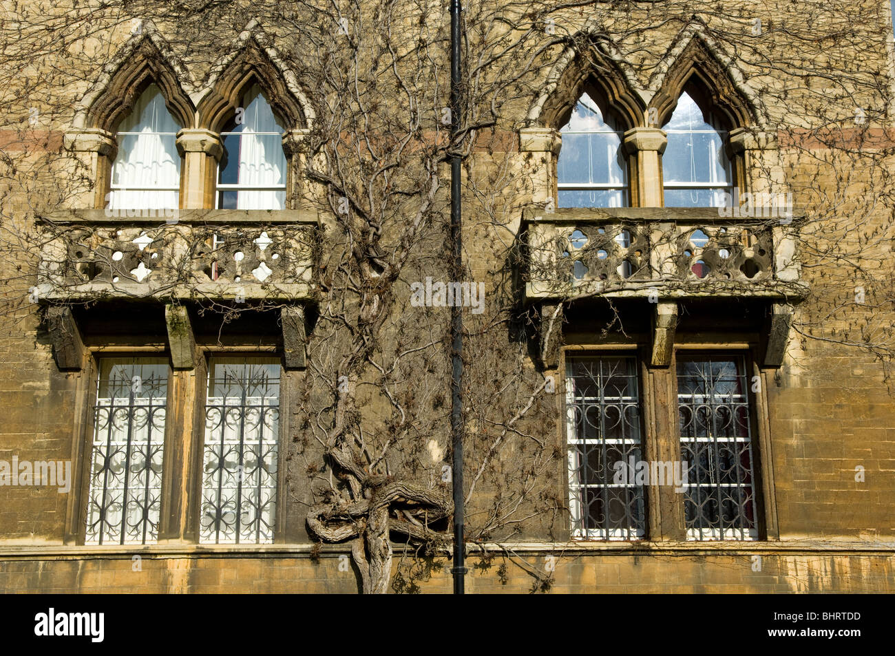 Die gotische Fenster des Gebäudes Wiese am Christ Church College, Universität Oxford. Stockfoto