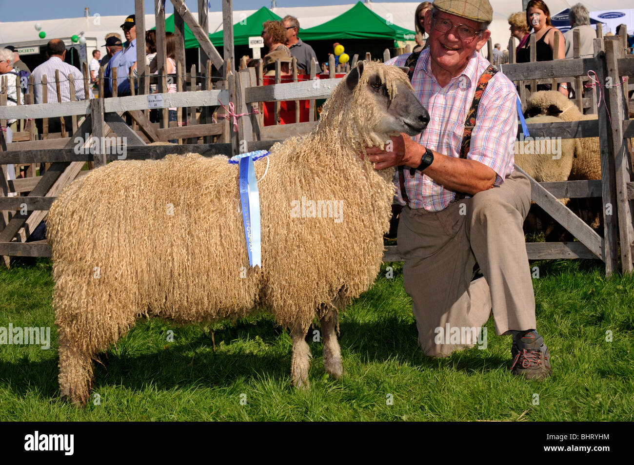 Bauer mit Champion Wensleydale Schafe bei einer Show. Stockfoto