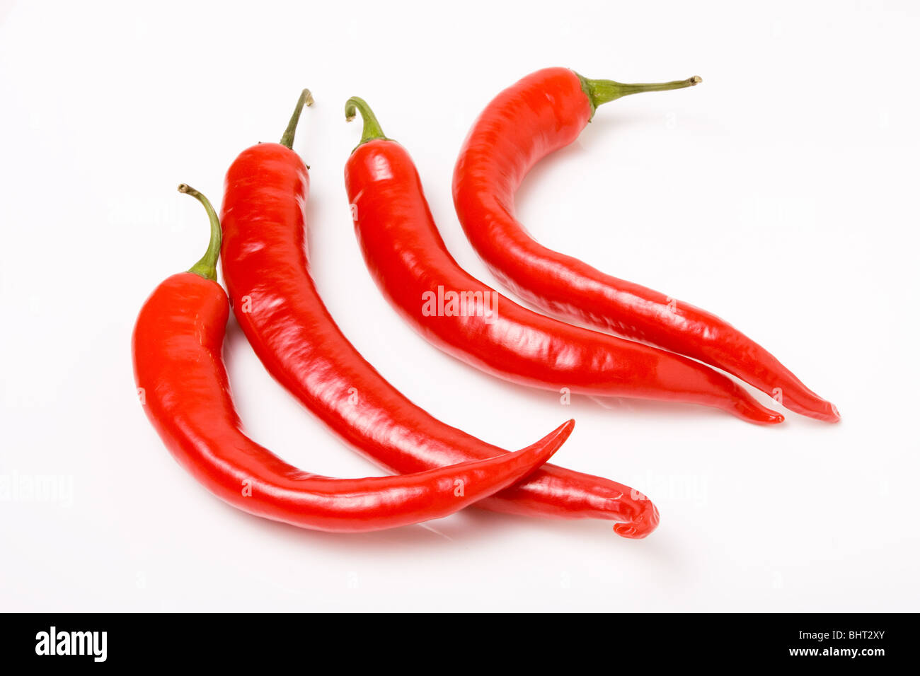 vier lebendige rote Chilis isoliert auf weißem Hintergrund. Stockfoto