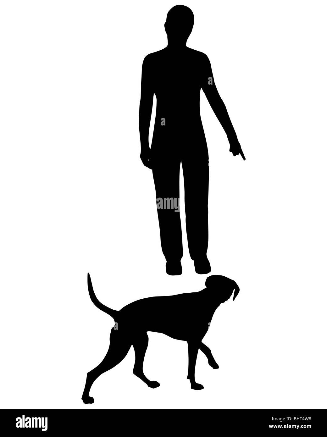 Hundeausbildung (Gehorsam): Befehl: kommen! Stockfoto