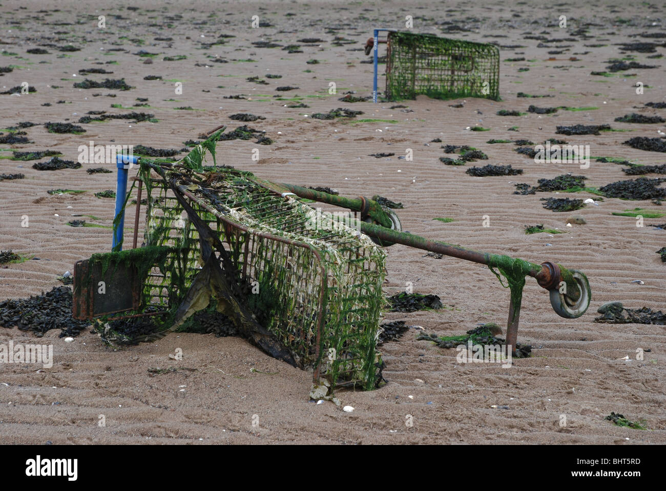 Einkaufswagen an der Küste gestrandet Stockfoto