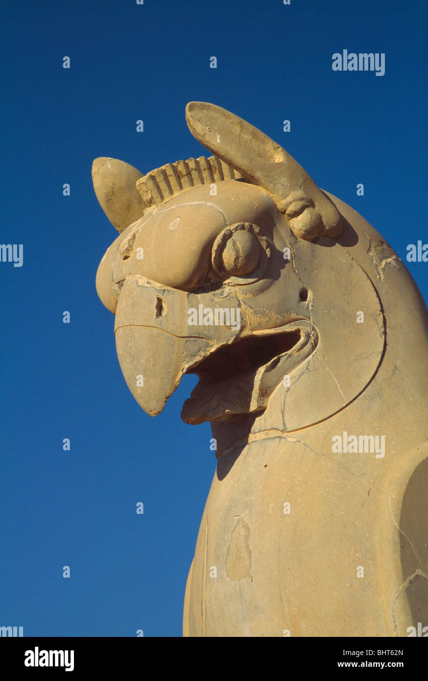 Vogel-Skulptur am Apadana Palast, Persepolis, Iran Stockfoto