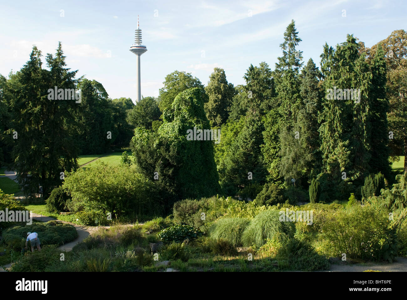 Palmengarten Fernmeldeturm Frankfurt Am Main Hessen