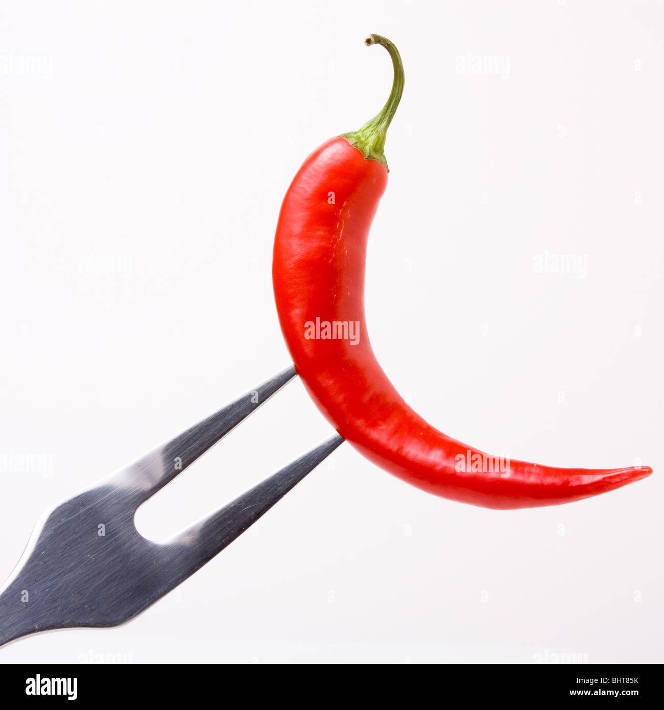 Einzelne rote Chili aufgespießt mit Gabel vor weißem Hintergrund. Stockfoto