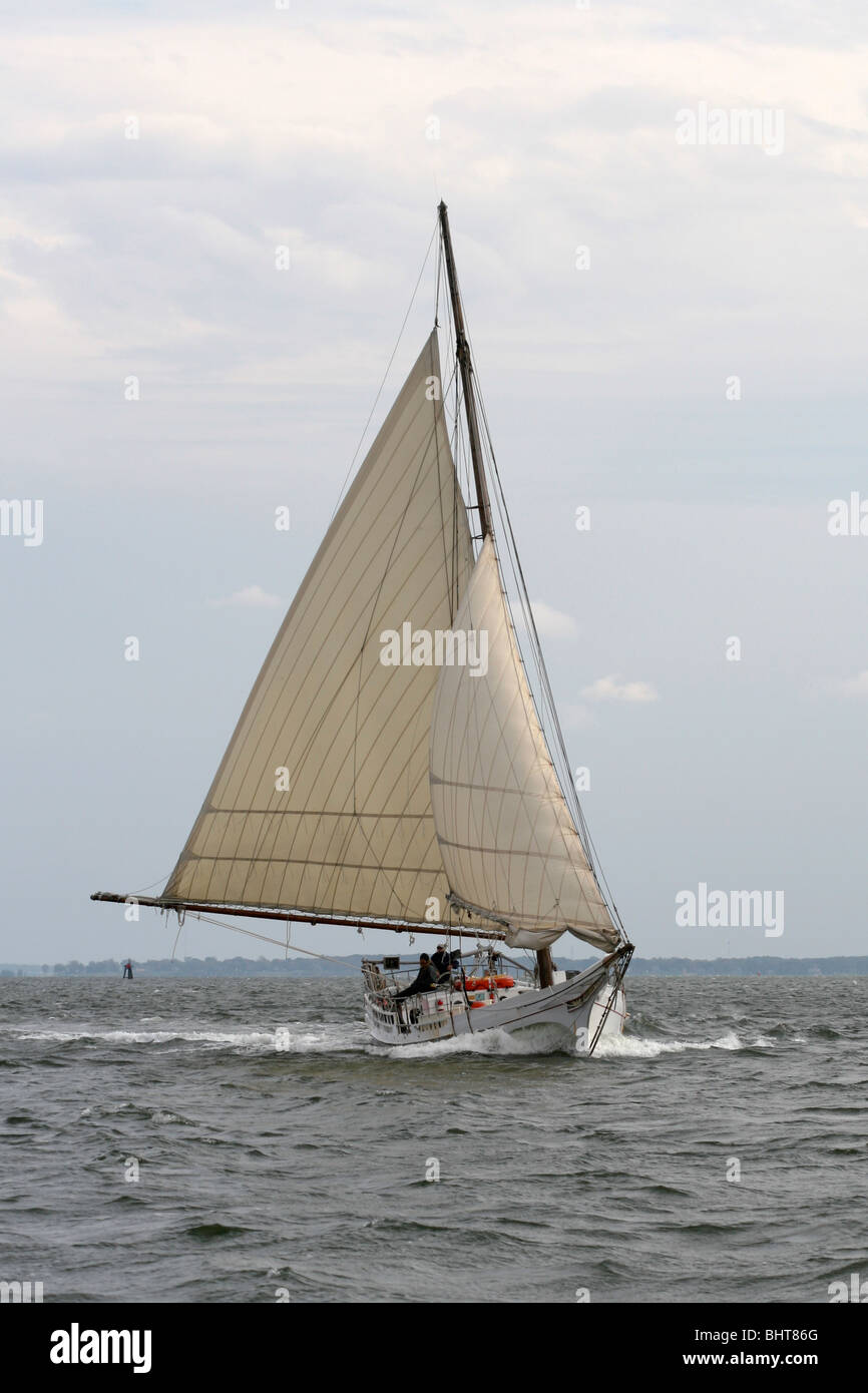 Skipjack H.M KRENTZ unter Segel Stockfoto