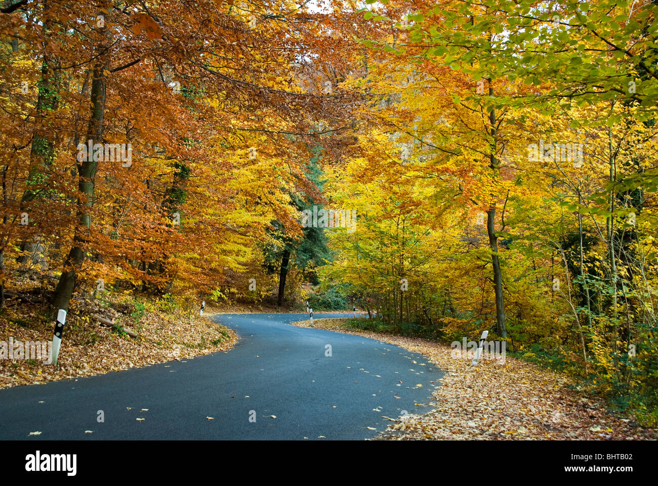 Künstliche Reptilien-Rebe - Biegsamer Kletterast Für Terrarium