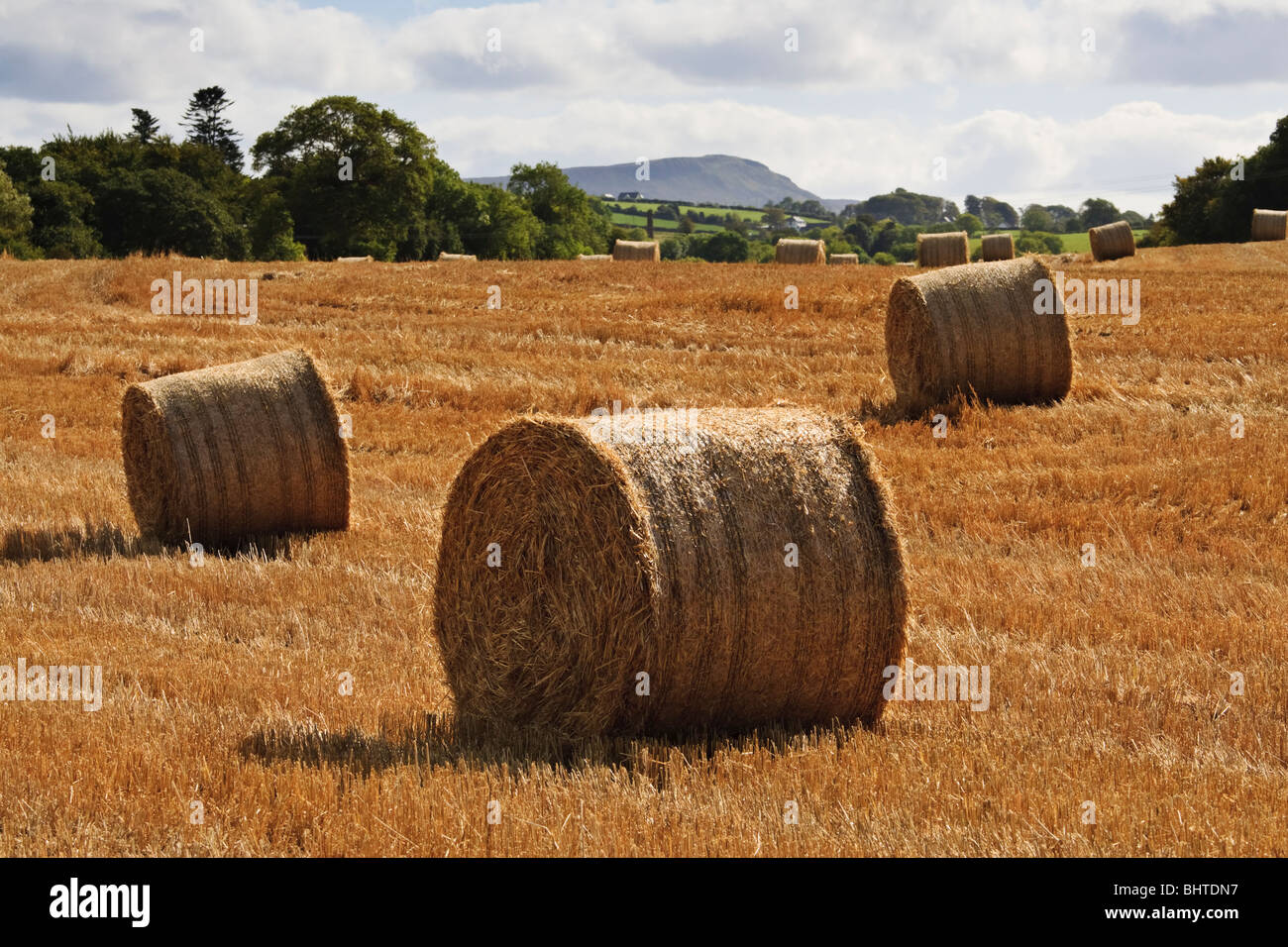 Heuballen in einem Bauernhof in der Nähe von Roe Valley Country Park, Limavady, County Londonderry, Nordirland Stockfoto