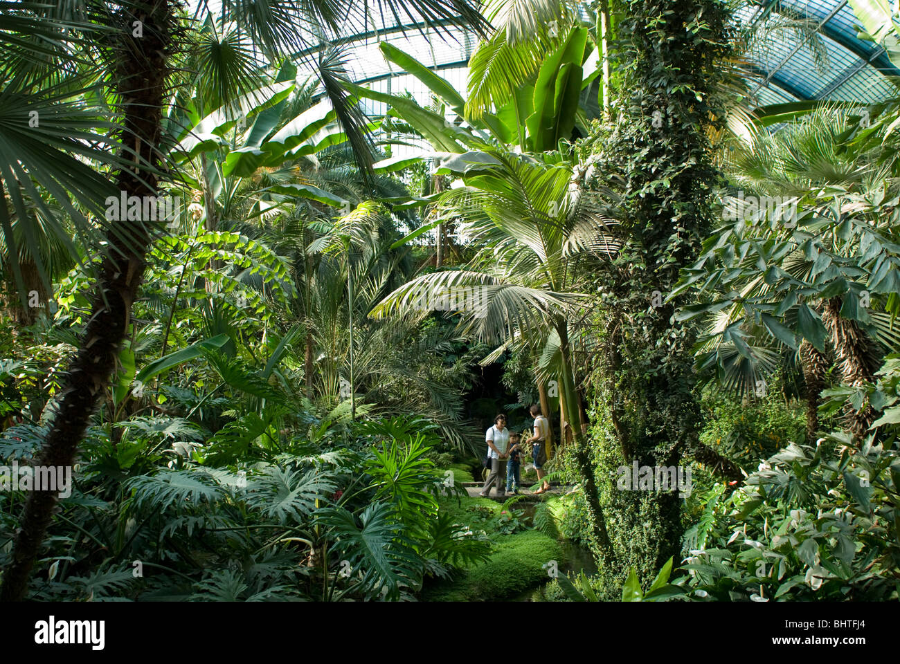 Palmengarten, Botanischer Garten in Frankfurt, Tropicarium und Skyline