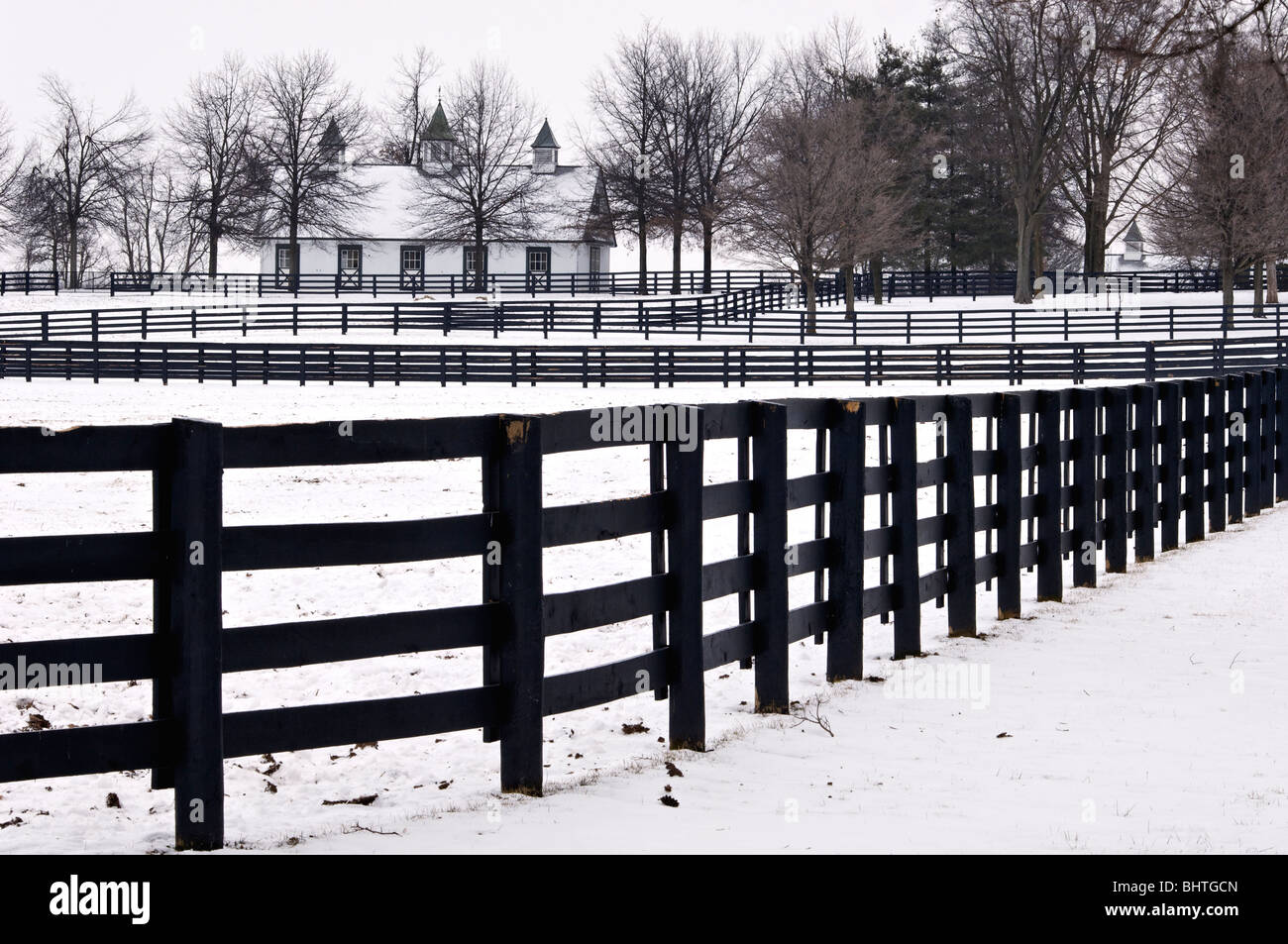 Schneebedeckte Pferdefarm in Fayette County, Kentucky Stockfoto