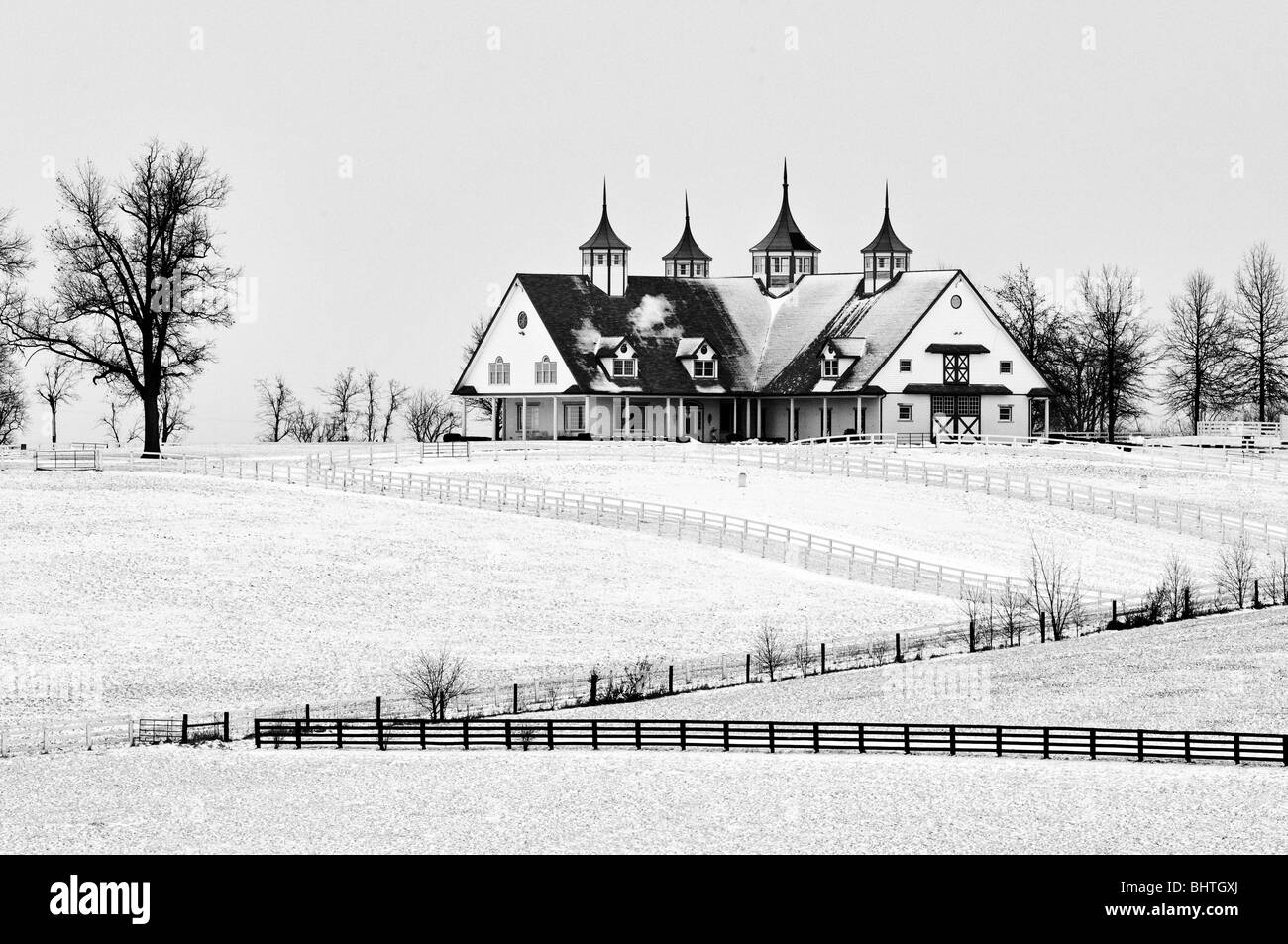 Schwarz / weiß Bild von Schnee bedeckt Manchester Pferdefarm in Fayette County, Kentucky Stockfoto