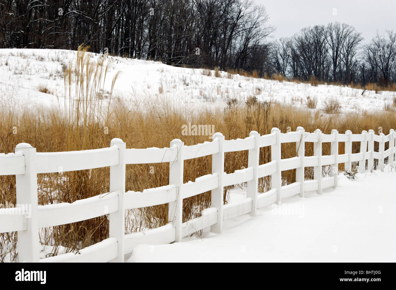 Ginster, Salbei und Zaun in den Schnee in Harrison County, Indiana Stockfoto