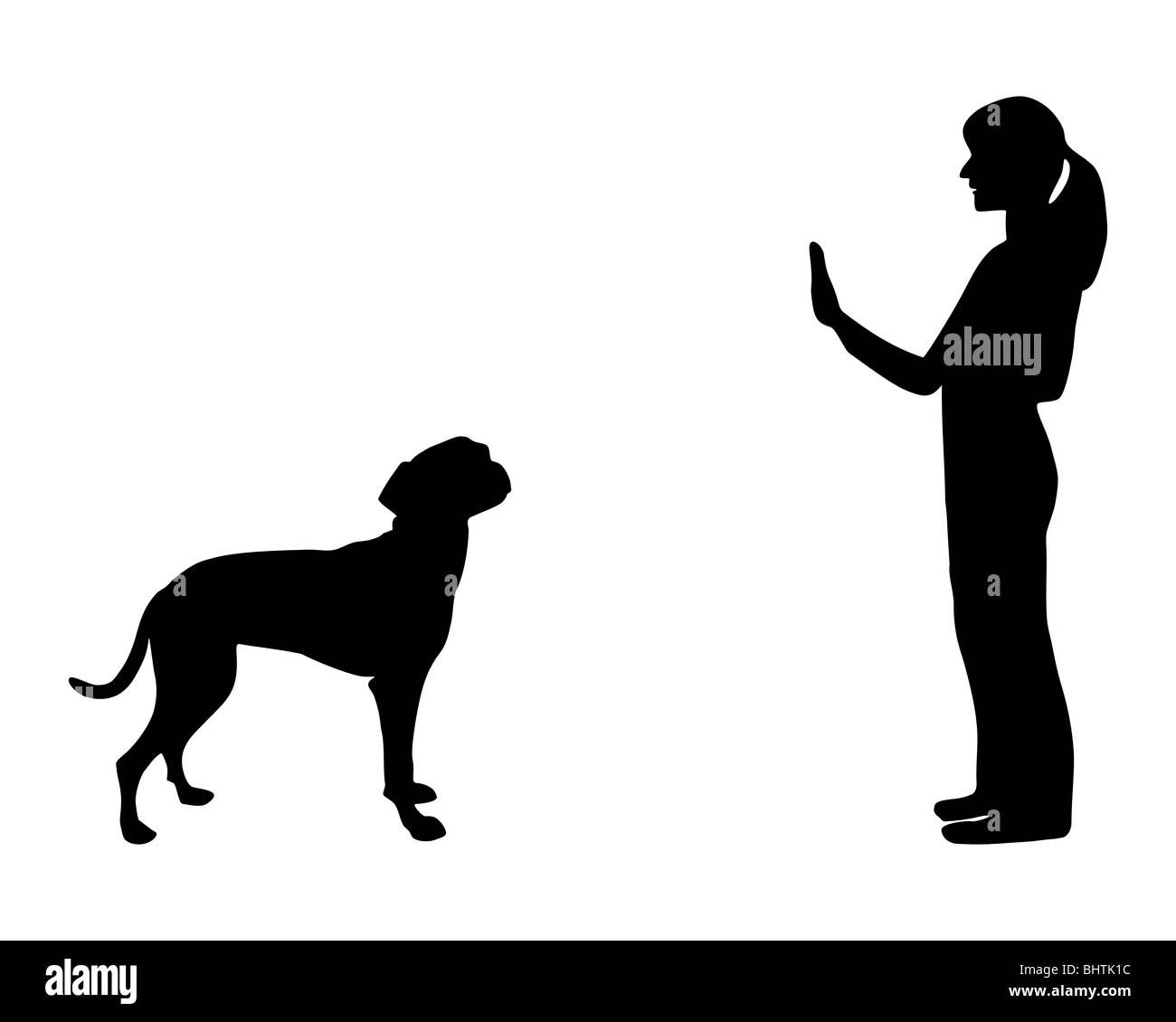 Hund Ausbildung (Gehorsam): Befehl Stop Stockfoto