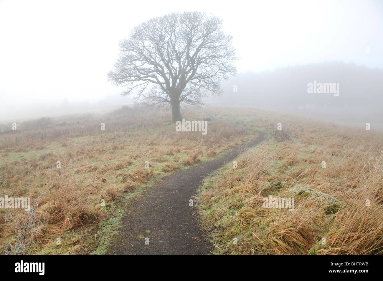 Nebel über einem Landweg, Lochwinnoch, Renfrewshire, Schottland UK Stockfoto