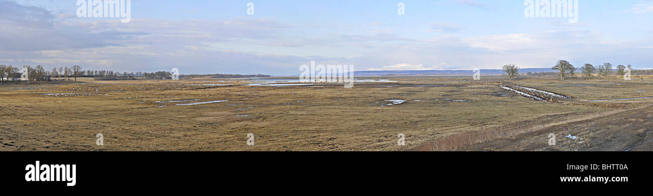 Panoramablick über das Moor Gebiet Hornborgasjön (Hornborgasee), Schweden, wo Tausende von Kranichen jedes Frühjahr ruhen. Stockfoto