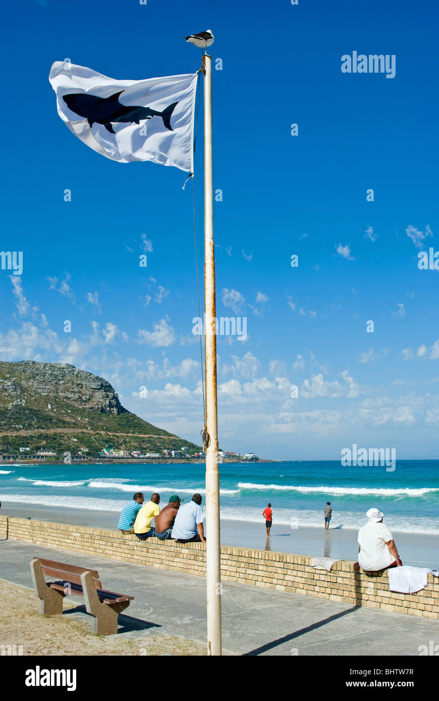 Ein Hai Warnung Flagge weht über False Bay Beach, Fishhoek, Kapstadt, Südafrika. Stockfoto