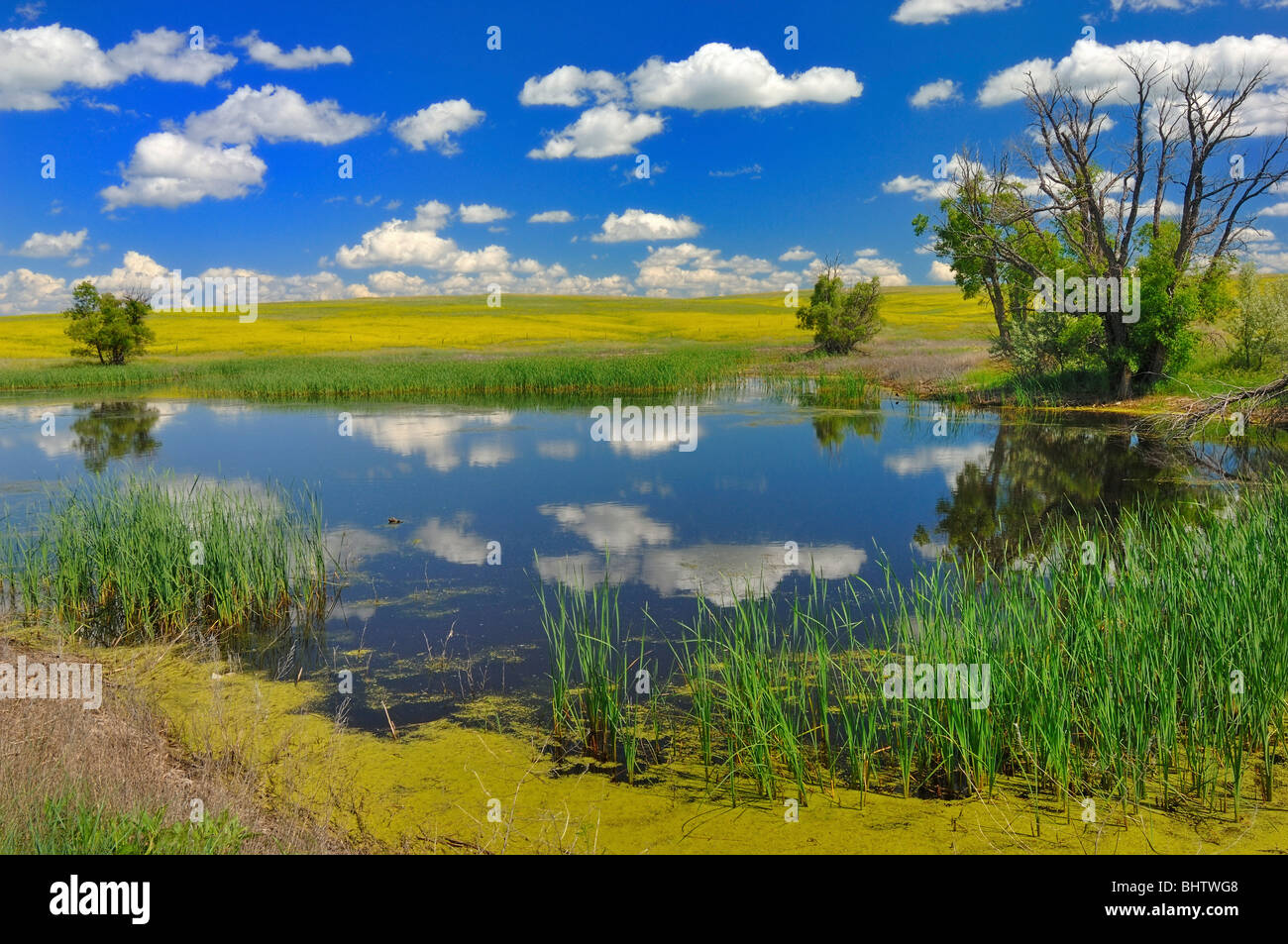 Der Pionier Picknickplatz am Buffalo Gap National Grassland in Nebraska, Vereinigte Staaten von Amerika Stockfoto