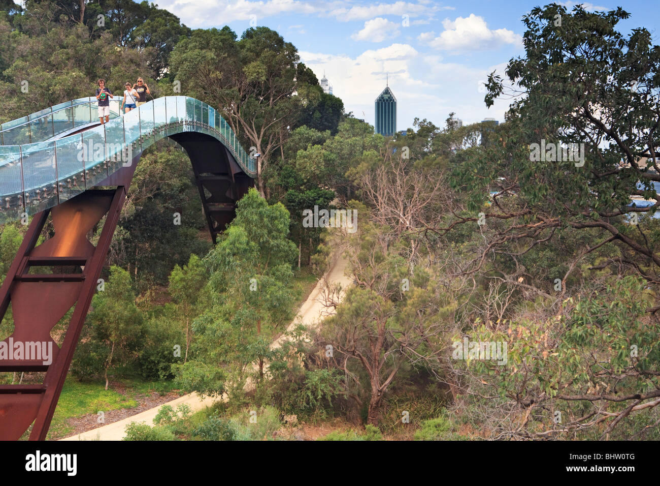 Lotterywest Föderation Gehweg gewölbte Brücke im Kings Park, Perth, Western Australia, Australia Stockfoto